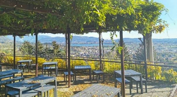 Al Glicine, wisteria view