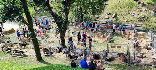 The goat fair in Caslino