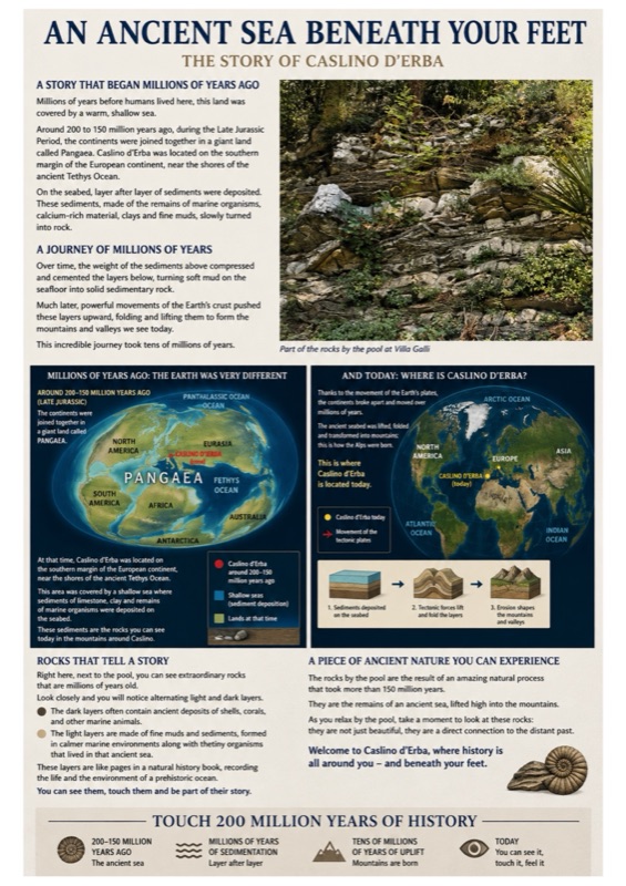 Poster: An ancient sea beneath your feet - Pangaea (English)
