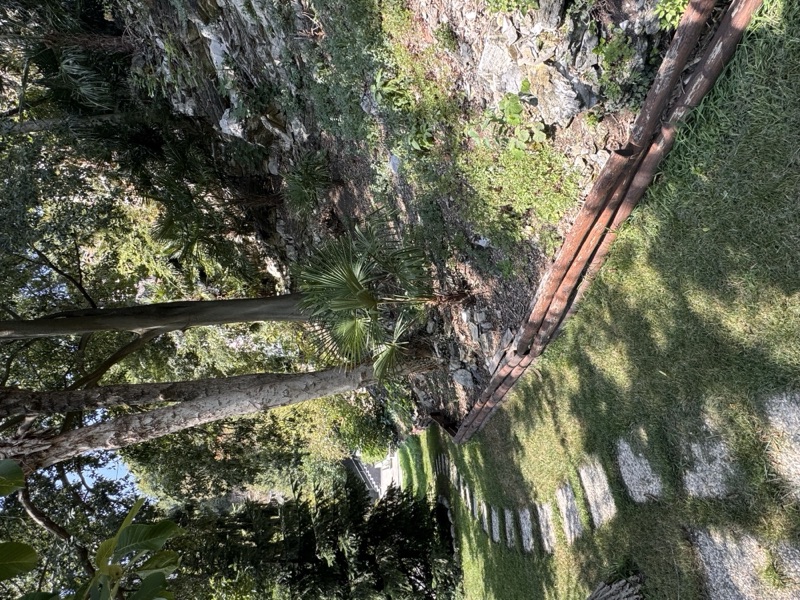 Park with the ancient rock outcrops