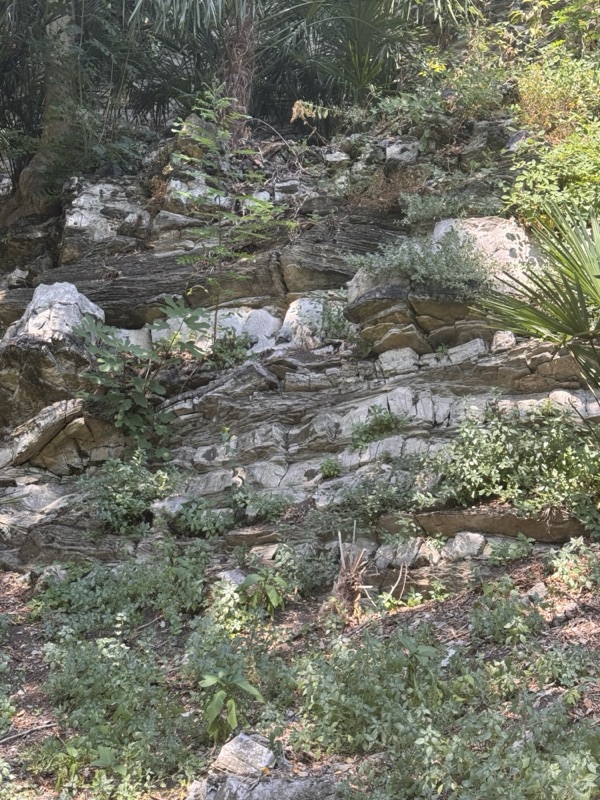 Ancient layered rocks at Caslino d'Erba