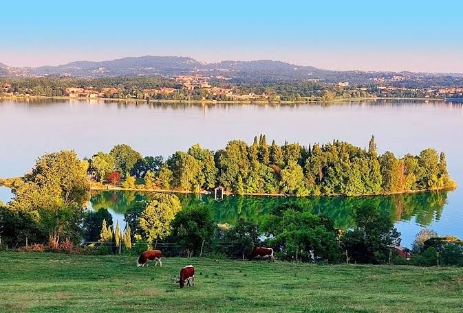View from Azienda Agricola Sant'Anna